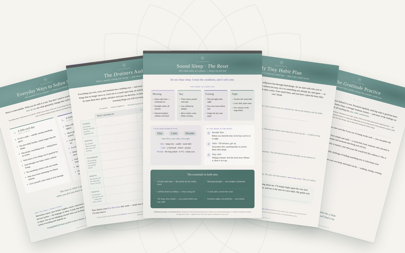Five of the printable handouts fanned out &mdash; worksheets, guides and quick cards