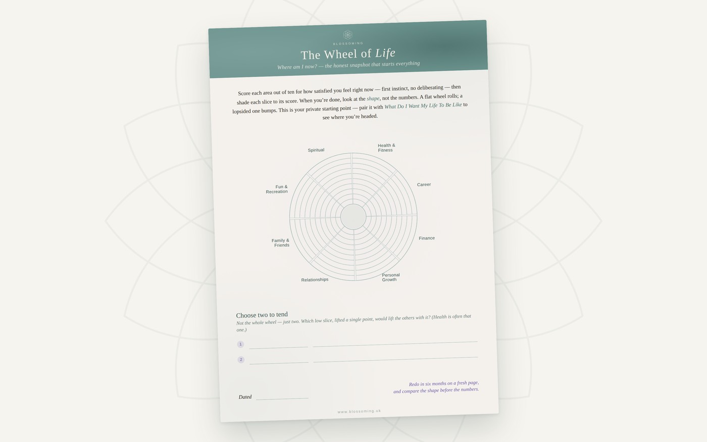 The Wheel of Life worksheet &mdash; eight parts of your life, scored out of ten