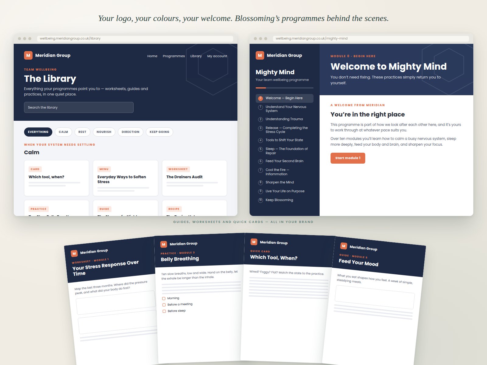 A partner-branded wellbeing portal — the library, the Mighty Mind course and handouts, all carrying the partner’s own logo and colours